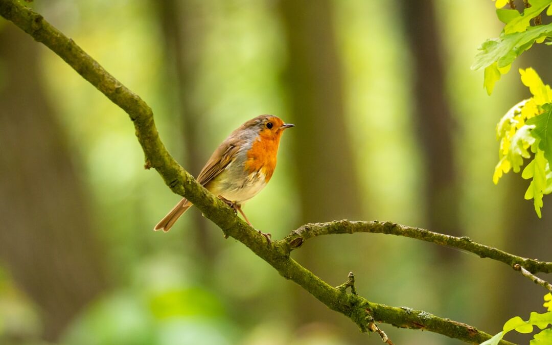 How to Mark Time Without Holidays