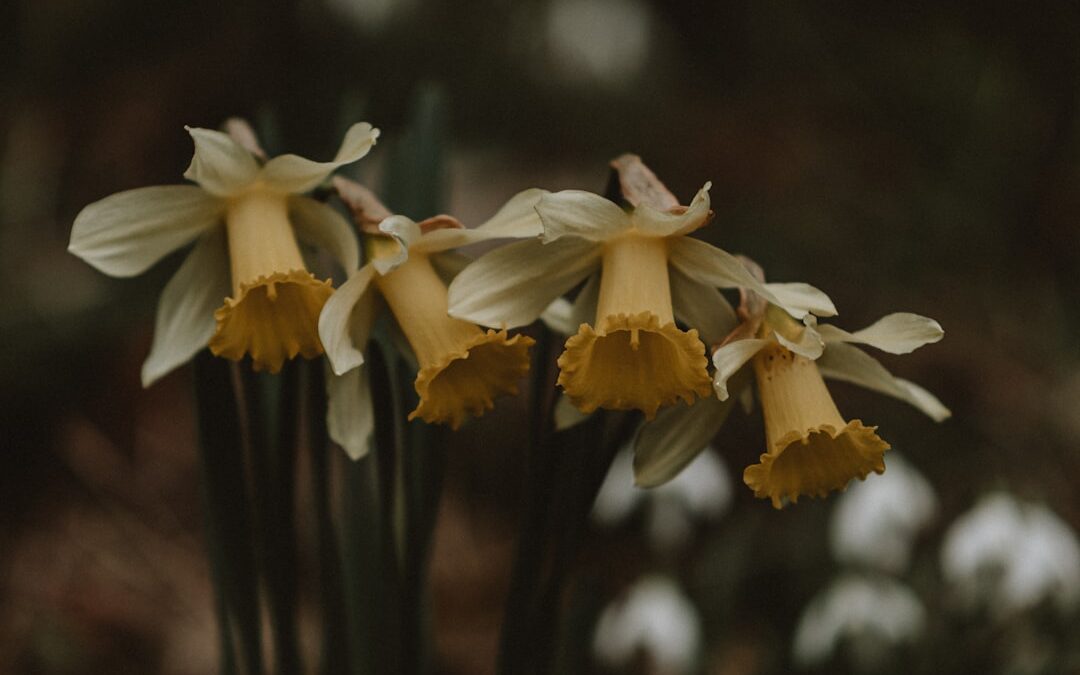 11 Spring Superstitions From Around the World