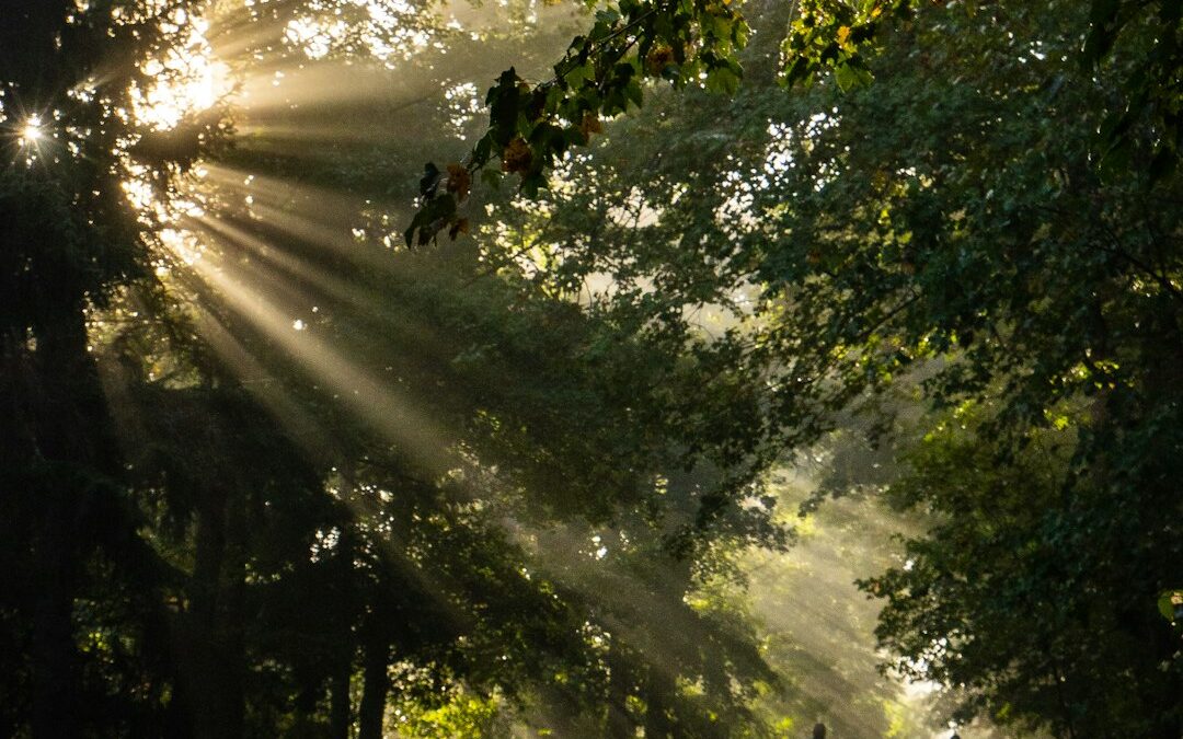 When Nature Sets the Pace