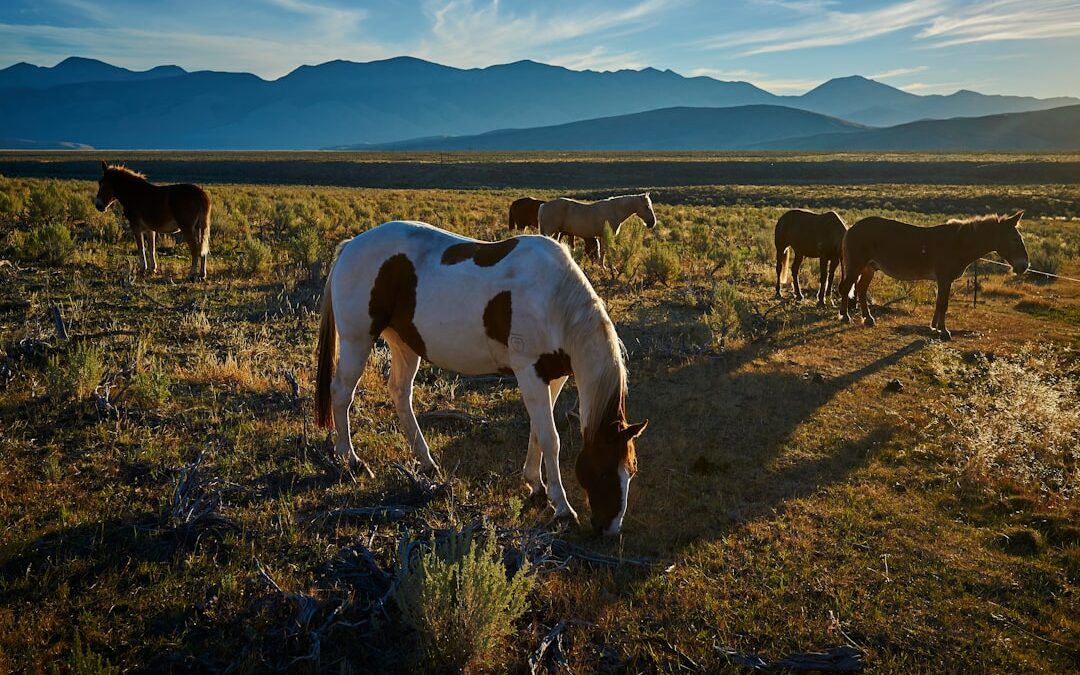10 Best Western Cities to Retire Comfortably