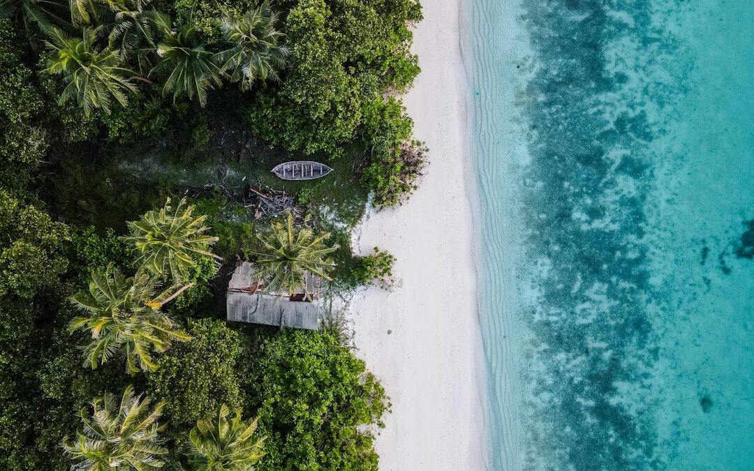 How Travel Is Actually Helping the Planet in 2026
