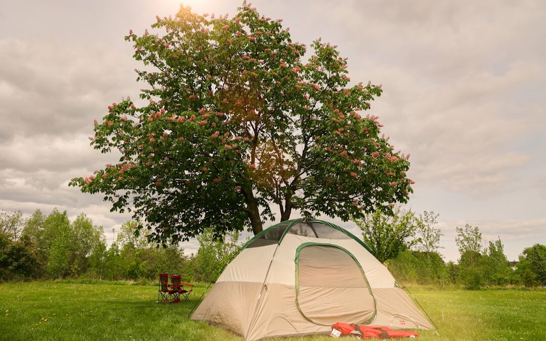 5 Budget-Friendly Vacation Ideas for Seniors