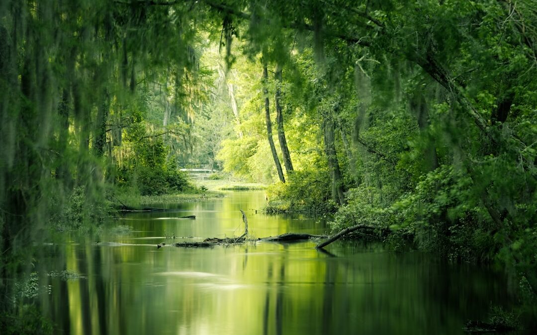 What Loving Green Says About Who You Are