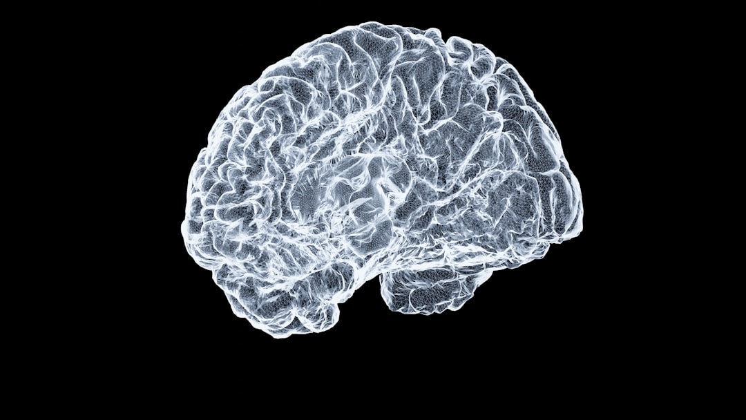 Your Brain Can Still Improve at Any Age, Study Finds