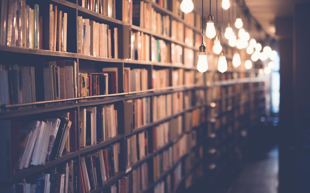Why Libraries Still Feel Different From Other Places
