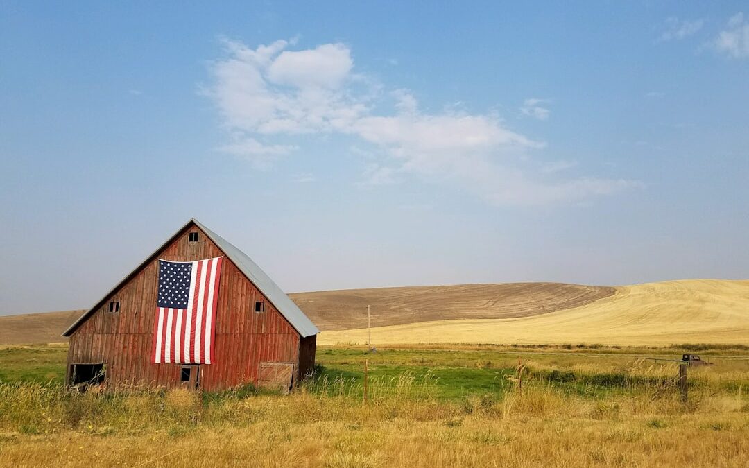 6 American Traditions That Feel Like Home
