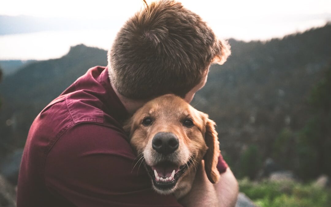 America’s Most Popular Dog Names in 2026