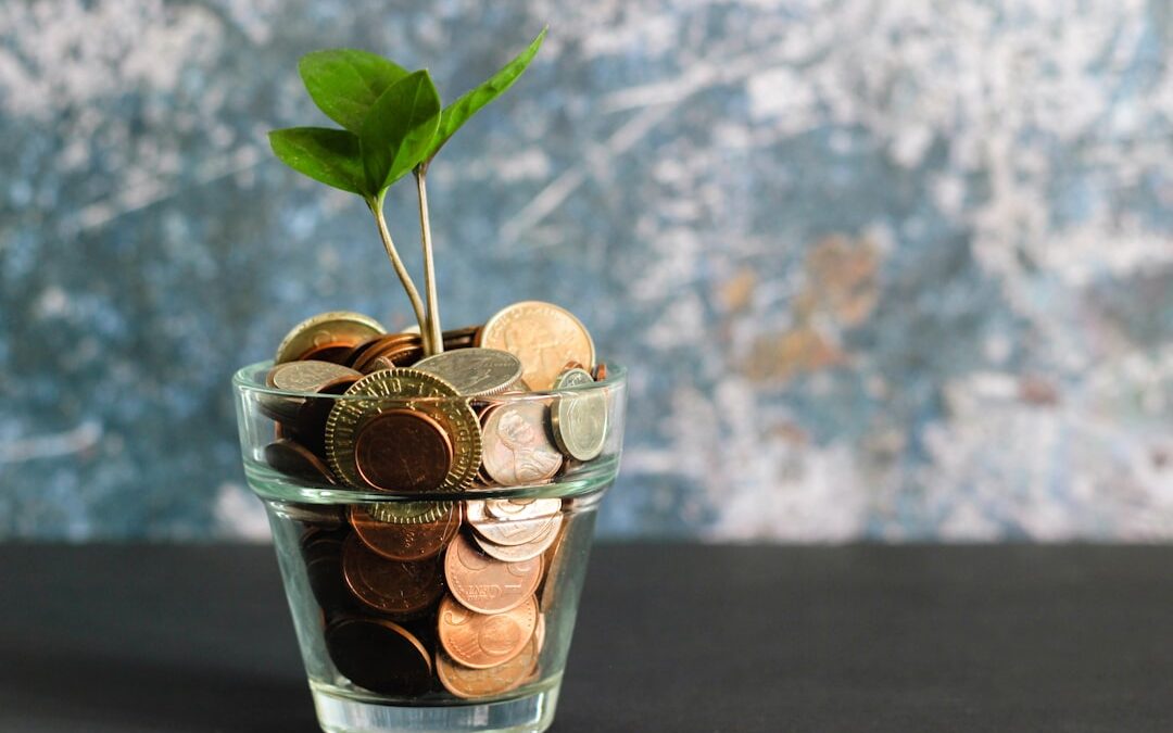 Why Your Investment Plan Needs Room to Flex