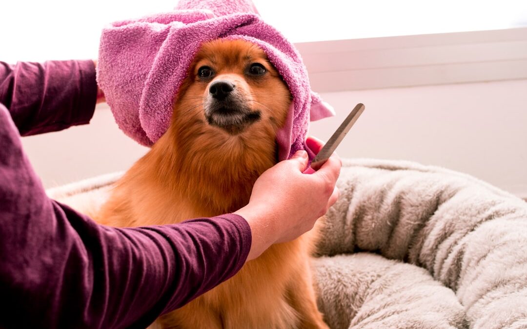 Pets and Germs: What Experts Say Is Safe