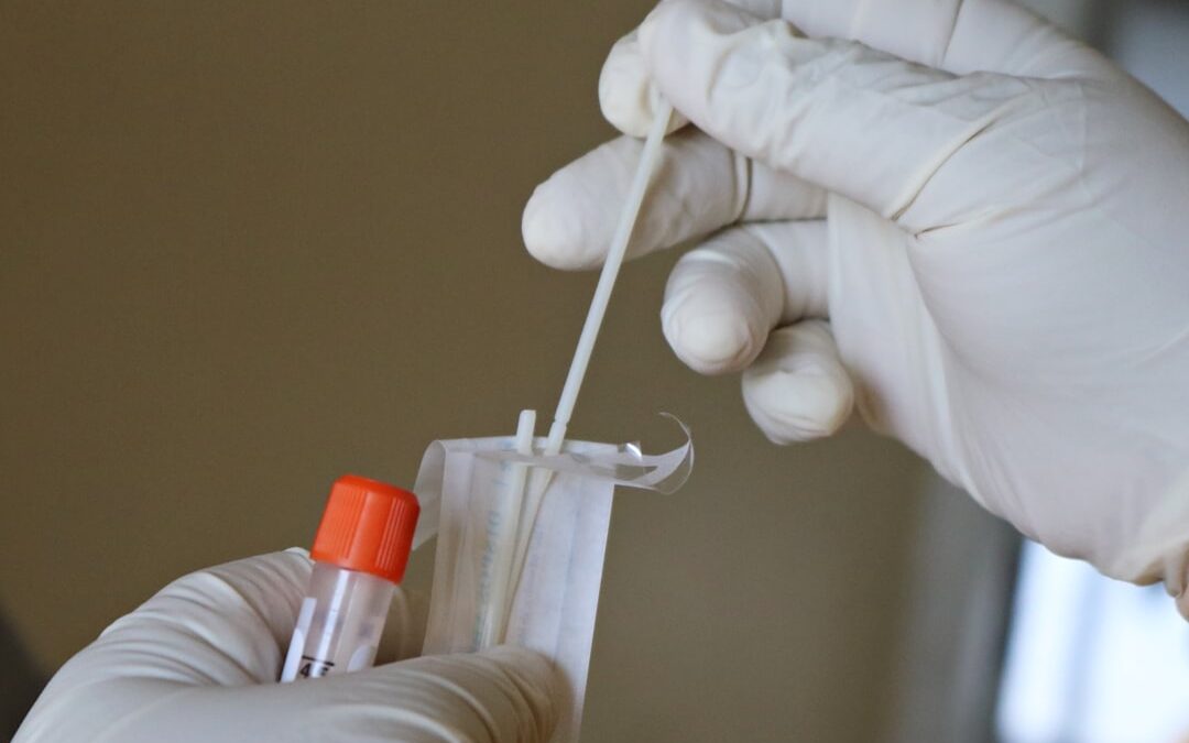 Rabies Is Rising: What Every Pet Owner Should Know