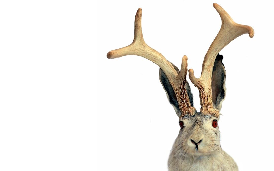 Monsters That Turned Out to Be Real Animals