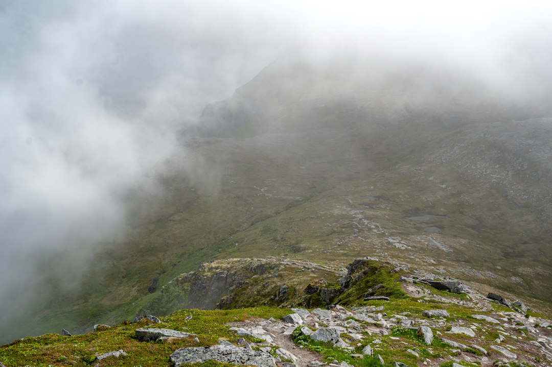 a foggy mountain with rocks and grass in the foreground